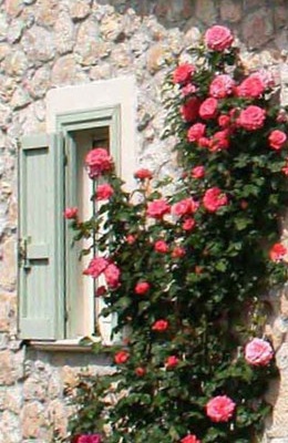 Soggiornare @ il Bruco B&B