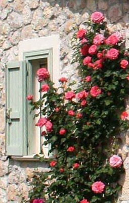 Soggiornare @ il Bruco B&B