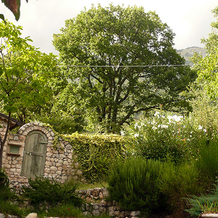 Gardens Photo