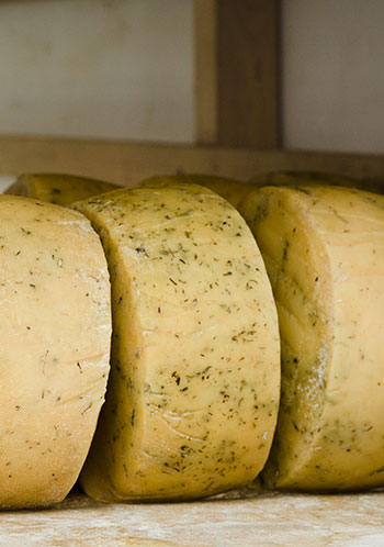 Flavours in Valle di Comino
