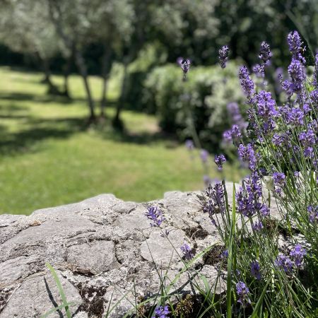 Gardens Photo
