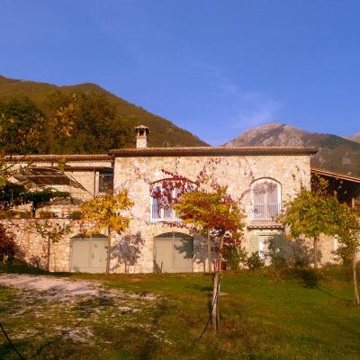 Il bruco