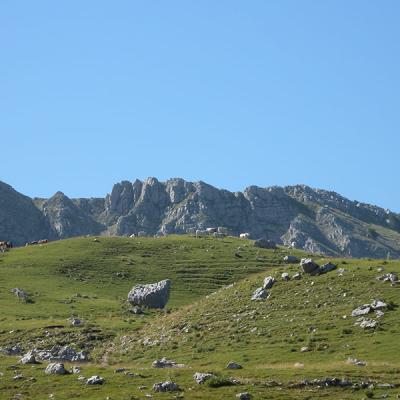Dscn0649