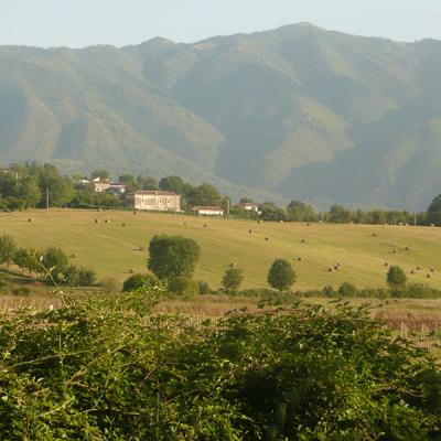 P1150405